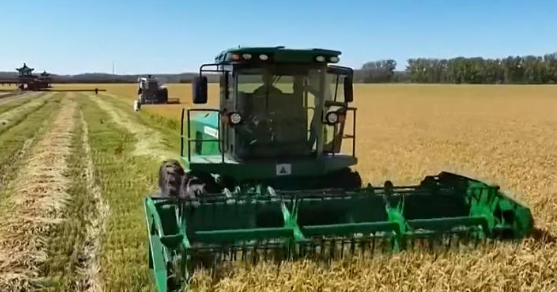 中央农办、农业农村部召开“三农”政策通气会强调 不折不扣落实党中央政策要求 坚决守牢农村土地管理底线红线